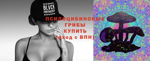 дмт Арсеньев
