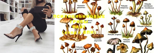 марихуана Аркадак