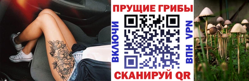 Псилоцибиновые грибы Magic Shrooms  Таштагол 