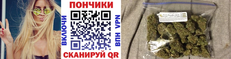 hydra как войти  дарнет шоп  Таштагол  Конопля ГИДРОПОН 